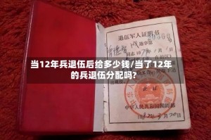 当12年兵退伍后给多少钱/当了12年的兵退伍分配吗?