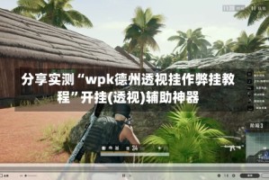 分享实测“wpk德州透视挂作弊挂教程”开挂(透视)辅助神器