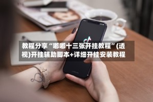 教程分享“嘟嘟十三张开挂教程”(透视)开挂辅助脚本+详细开挂安装教程