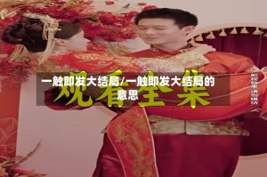 一触即发大结局/一触即发大结局的意思
