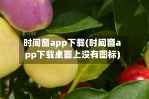时间窗app下载(时间窗app下载桌面上没有图标)