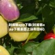 时间窗app下载(时间窗app下载桌面上没有图标)