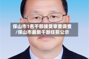 保山市1名干部接受审查调查/保山市最新干部任前公示