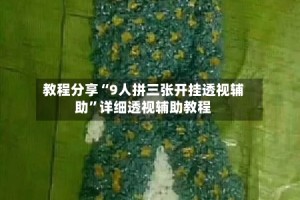 教程分享“9人拼三张开挂透视辅助”详细透视辅助教程