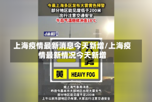 上海疫情最新消息今天新增/上海疫情最新情况今天新增