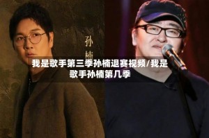 我是歌手第三季孙楠退赛视频/我是歌手孙楠第几季