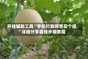 开挂辅助工具“手机打麻将想买个挂”详细分享装挂步骤教程