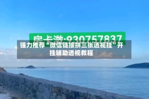 强力推荐“微信链接拼三张透视挂”开挂辅助透视教程