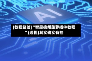 [教程经验]“智星德州菠萝插件教程”(透视)其实确实有挂