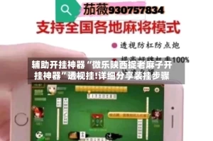 辅助开挂神器“微乐陕西捉老麻子开挂神器”透视挂!详细分享装挂步骤