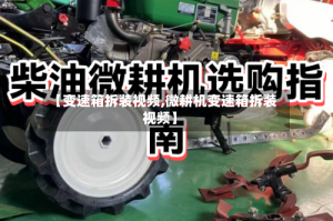【变速箱拆装视频,微耕机变速箱拆装视频】