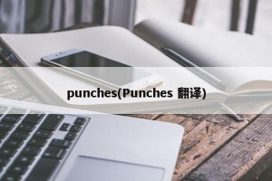 punches(Punches 翻译)