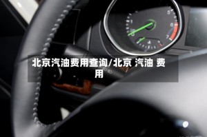 北京汽油费用查询/北京 汽油 费用
