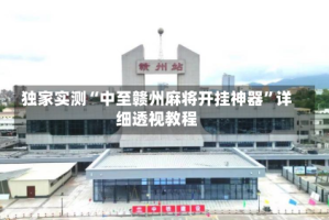 独家实测“中至赣州麻将开挂神器”详细透视教程