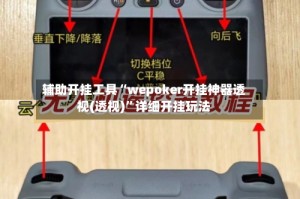 辅助开挂工具“wepoker开挂神器透视(透视)”详细开挂玩法