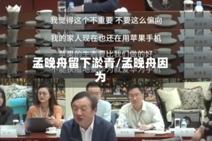 孟晚舟留下淤青/孟晚舟因为