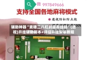 辅助神器“麦穗二八杠到底有挂吗”(透视)开挂辅助脚本+详细开挂安装教程