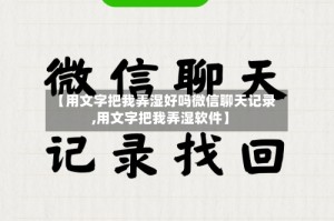 【用文字把我弄湿好吗微信聊天记录,用文字把我弄湿软件】