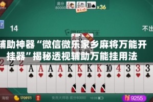 辅助神器“微信微乐家乡麻将万能开挂器”揭秘透视辅助万能挂用法