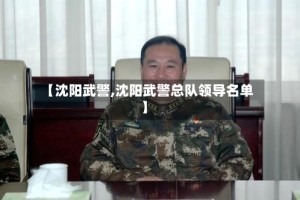 【沈阳武警,沈阳武警总队领导名单】