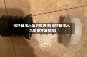 福特翼虎水泵更换方法(福特翼虎水泵更换方法视频)