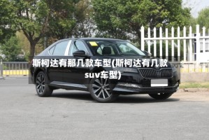 斯柯达有那几款车型(斯柯达有几款suv车型)