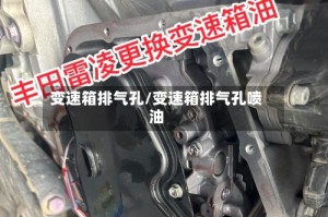 变速箱排气孔/变速箱排气孔喷油