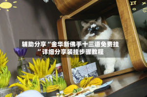 辅助分享“金华新佛手十三道免费挂”详细分享装挂步骤教程