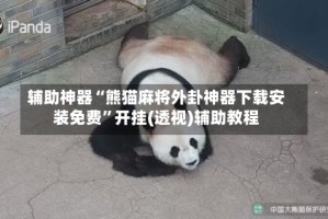 辅助神器“熊猫麻将外卦神器下载安装免费”开挂(透视)辅助教程