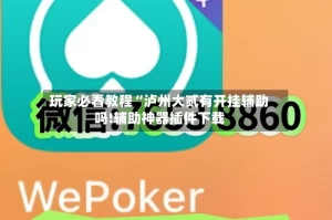 玩家必看教程“泸州大贰有开挂辅助吗!辅助神器插件下载