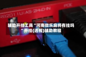 辅助开挂工具“河南微乐麻将有挂吗”开挂(透视)辅助教程