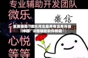 实测辅助“微乐河北麻将有没有开挂神器”详细辅助软件教程