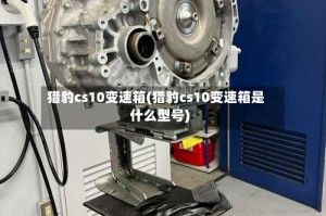 猎豹cs10变速箱(猎豹cs10变速箱是什么型号)
