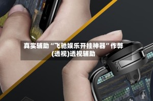 真实辅助“飞驰娱乐开挂神器”作弊(透视)透视辅助