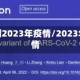 中国预测2023年疫情/2023年的疫情