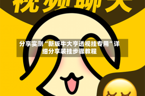 分享实测“新版牛大亨透视挂专用”详细分享装挂步骤教程