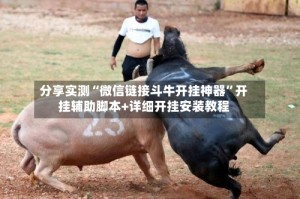 分享实测“微信链接斗牛开挂神器”开挂辅助脚本+详细开挂安装教程