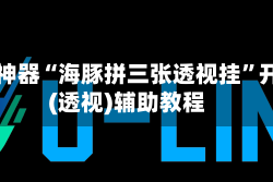辅助神器“海豚拼三张透视挂”开挂(透视)辅助教程