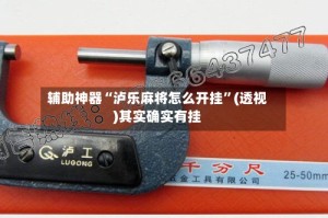 辅助神器“泸乐麻将怎么开挂”(透视)其实确实有挂