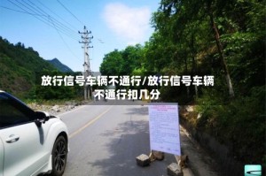 放行信号车辆不通行/放行信号车辆不通行扣几分