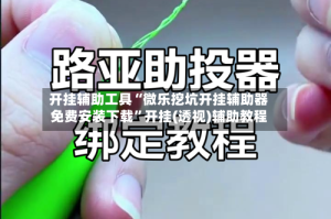 开挂辅助工具“微乐挖坑开挂辅助器免费安装下载”开挂(透视)辅助教程