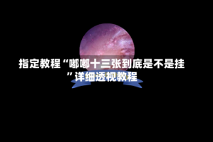指定教程“嘟嘟十三张到底是不是挂”详细透视教程