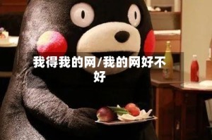 我得我的网/我的网好不好