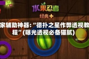 玩家辅助神器:“德扑之星作弊透视教程”(曝光透视必备猫腻)