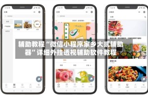 辅助教程“微信小程序家乡大贰辅助器”详细外挂透视辅助软件教程
