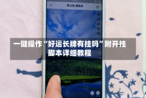 一键操作“好运长牌有挂吗”附开挂脚本详细教程