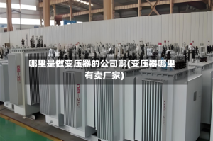 哪里是做变压器的公司啊(变压器哪里有卖厂家)