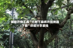 辅助开挂工具“大树下麻将开挂神器下载”详细分享装挂