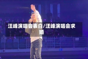 汪峰演唱会表白/汪峰演唱会求婚