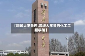 【聊城大学鲁西,聊城大学鲁西化工工程学院】